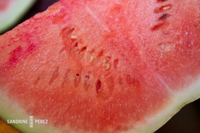 watermelon-sandrine-perez