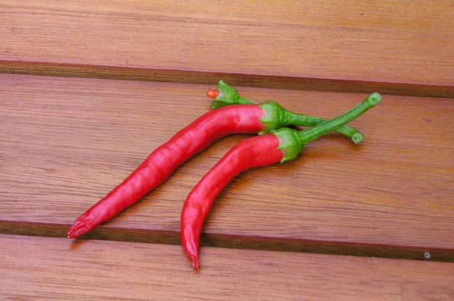 6133195869_0bf1e37985_b