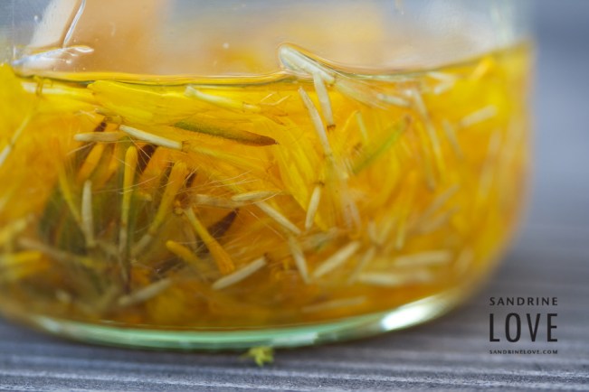 Bettmeralp, Switzerland 160