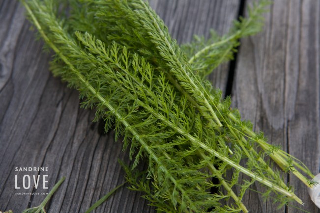 Bettmeralp, Switzerland 179