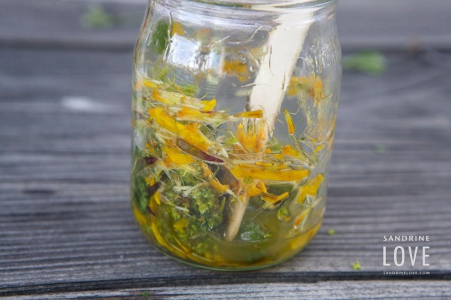 Bettmeralp-Switzerland-186