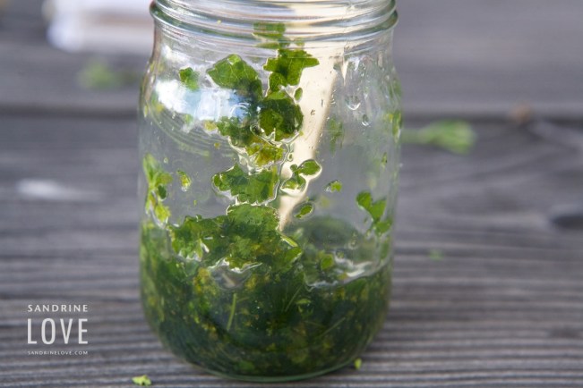 Bettmeralp-Switzerland-188