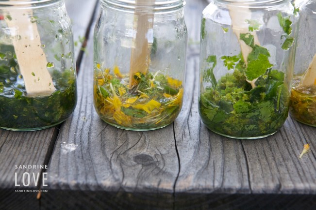 Bettmeralp-Switzerland-189