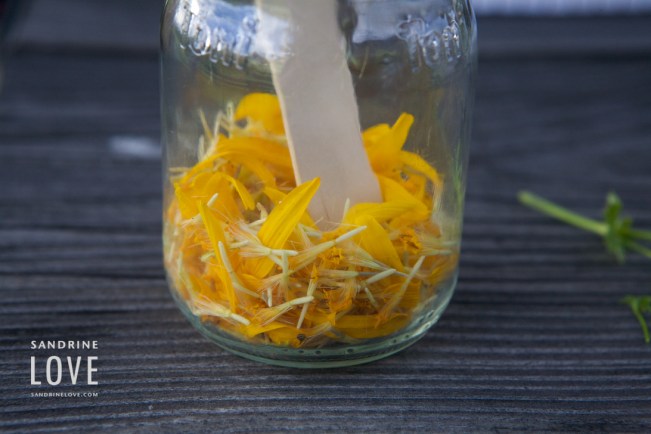 Bettmeralp, Switzerland 183