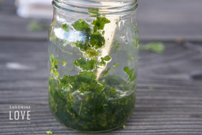 Bettmeralp, Switzerland 188