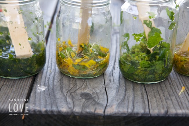 Bettmeralp, Switzerland 189